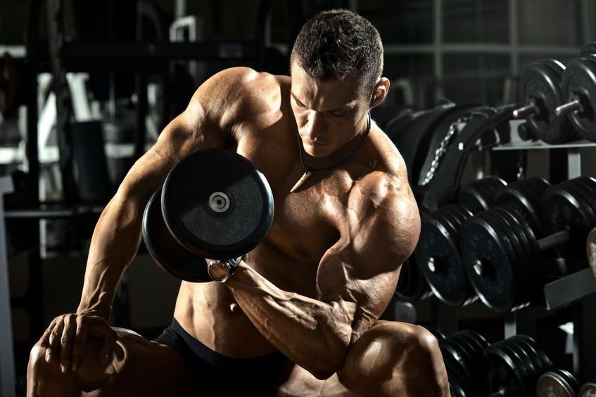 Muscle Building & Strength Training